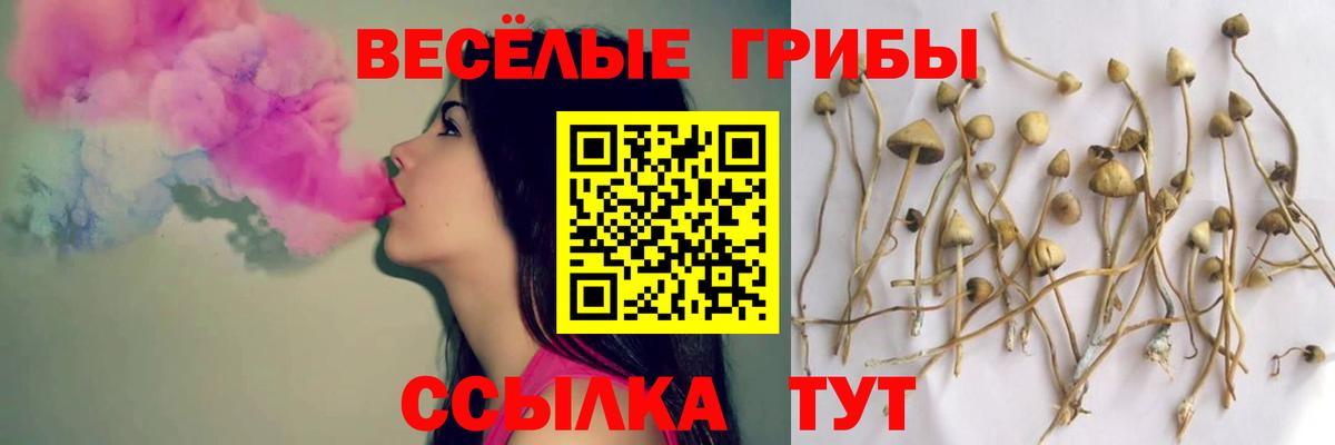 Галлюциногенные грибы Cubensis  Вход с VPN  Воронеж 